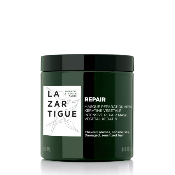 Repair Mask